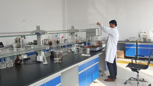 東營港經濟開發區 以企業技術改造為抓手，驅動產業轉型升級與技術開發新突破