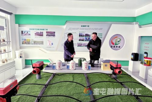 奎屯-獨山子經濟技術開發區 政企銀聯動強鏈補短，技術開發提速園區高質量發展